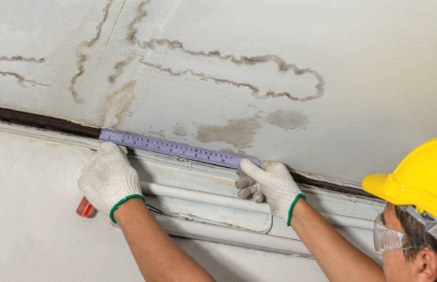 Reliable Water Damage Repair contractor in Monterey, TN by Hirex Water Damage